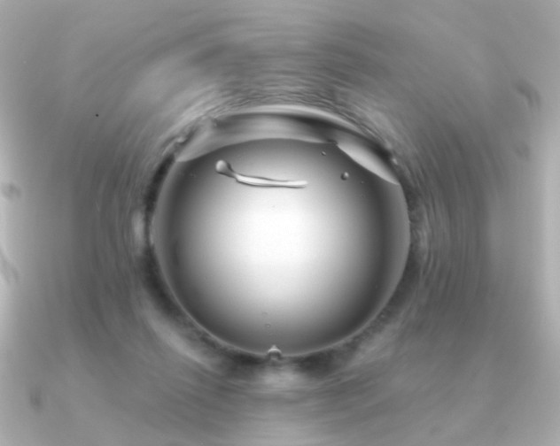 X0000091190262200708091254
