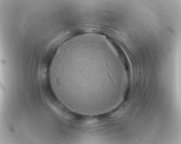 X0000091190263200708091254