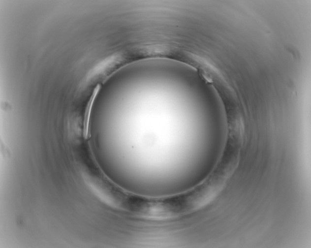 X0000091190264200708091254
