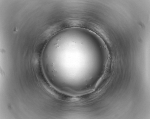 X0000091190265200708091254
