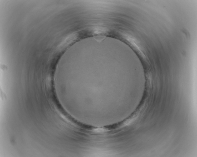 X0000091190269200708091254