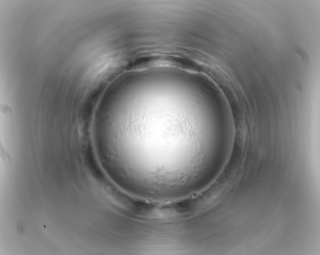 X0000091190270200708091254