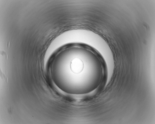 X0000091190272200708091254