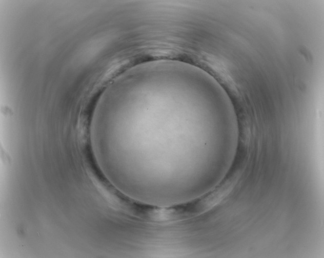 X0000091190273200708091254