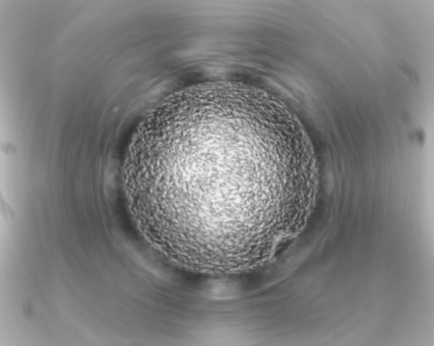 X0000091190275200708091254