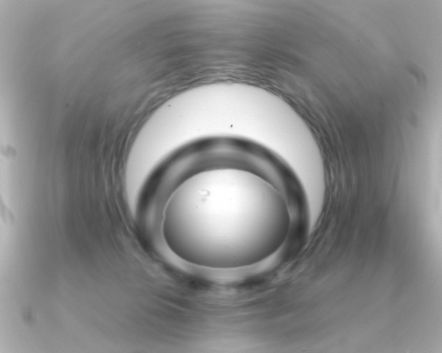 X0000091190276200708091254