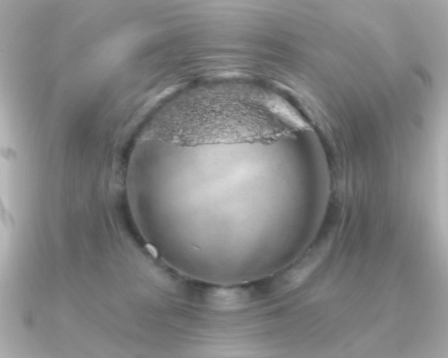 X0000091190277200708091255