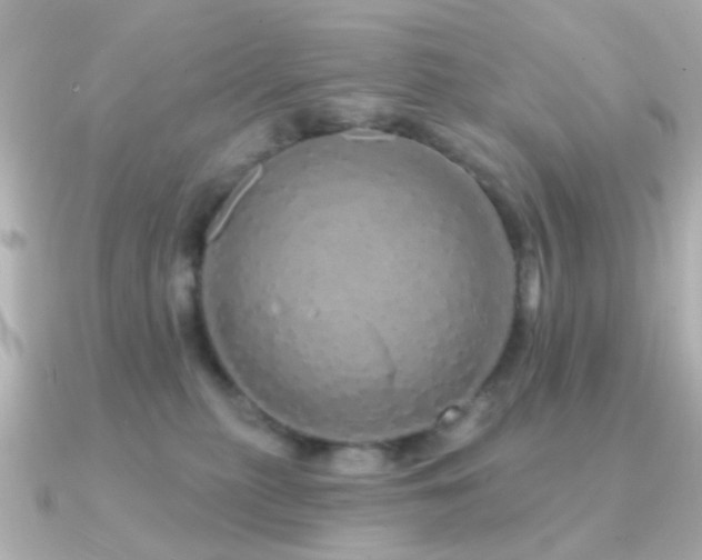 X0000091190279200708091255