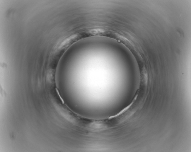 X0000091190280200708091255