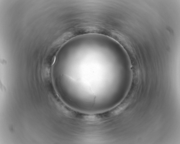 X0000091190281200708091255