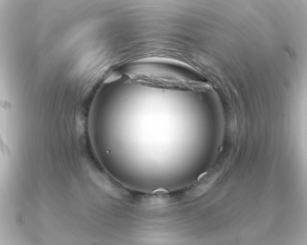 X0000091190282200708091255