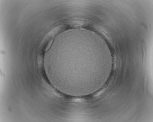 X0000091190283200708091255