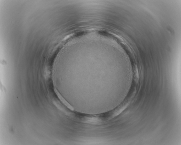X0000091190284200708091255