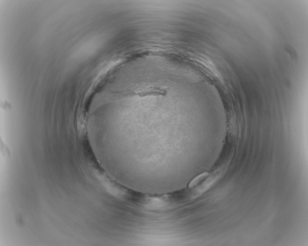 X0000091190285200708091255