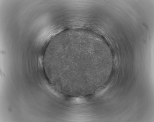 X0000091190286200708091255