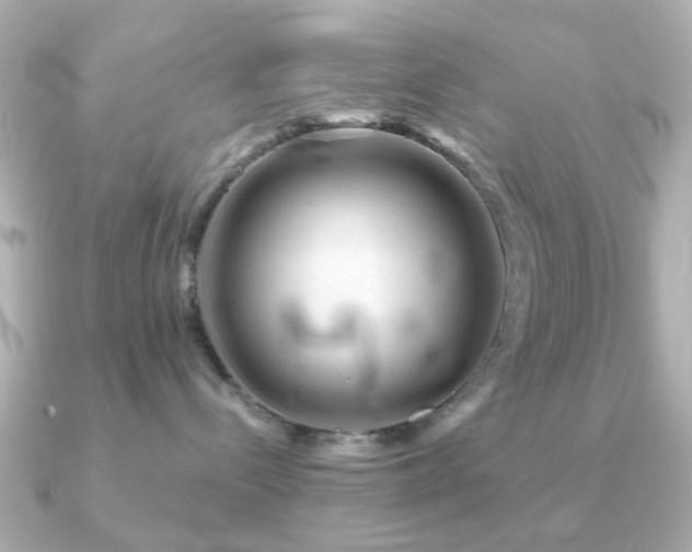 X0000091190288200708091255