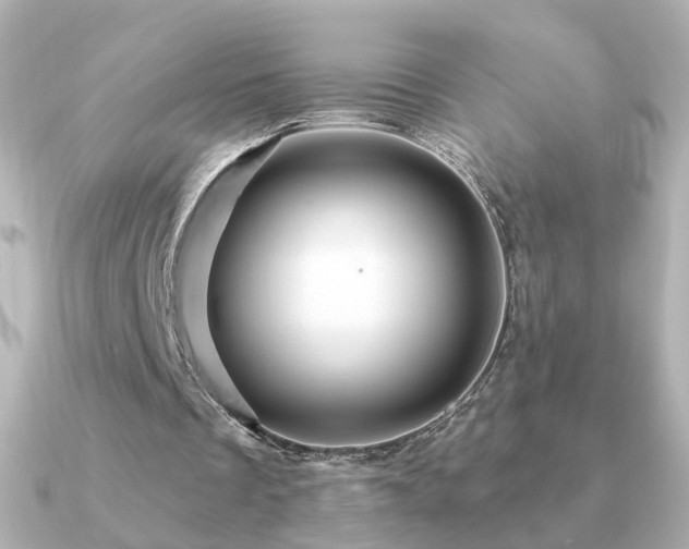 X0000091190289200708091254