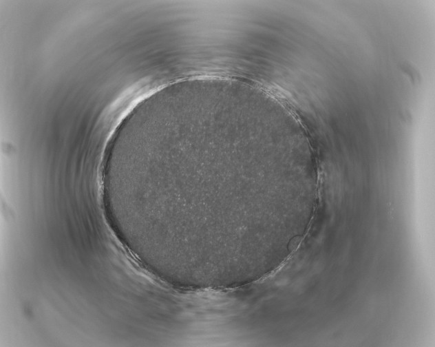 X0000091190290200708091254