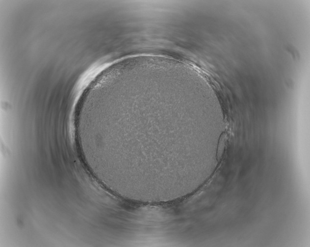 X0000091190294200708091254