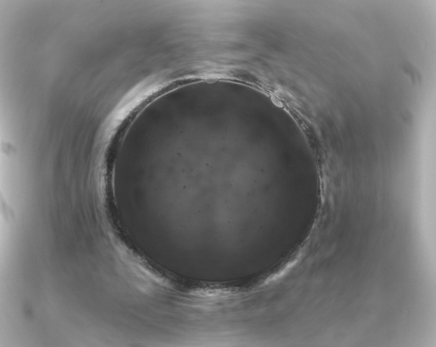 X0000091190295200708091254