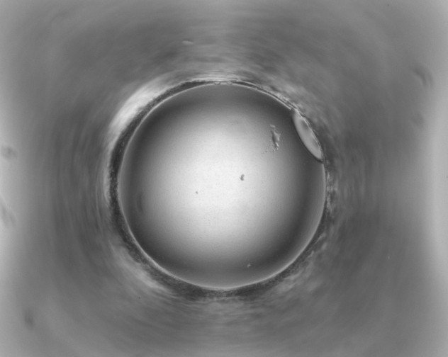 X0000091190296200708091254