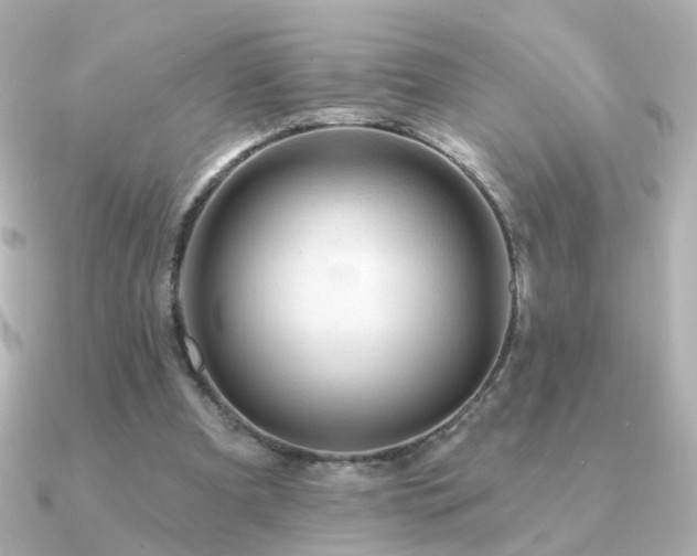 X0000091190297200708091254