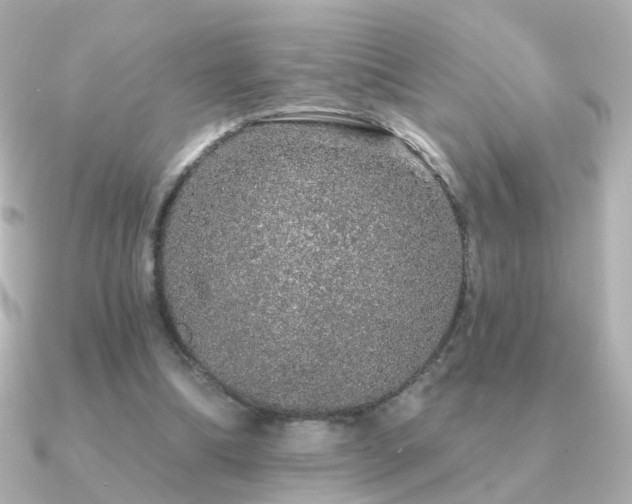 X0000091190298200708091254