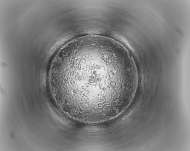 X0000091190299200708091254