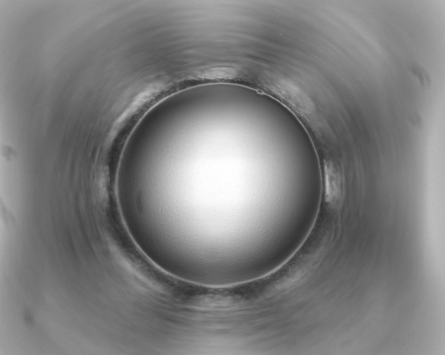 X0000091190300200708091254