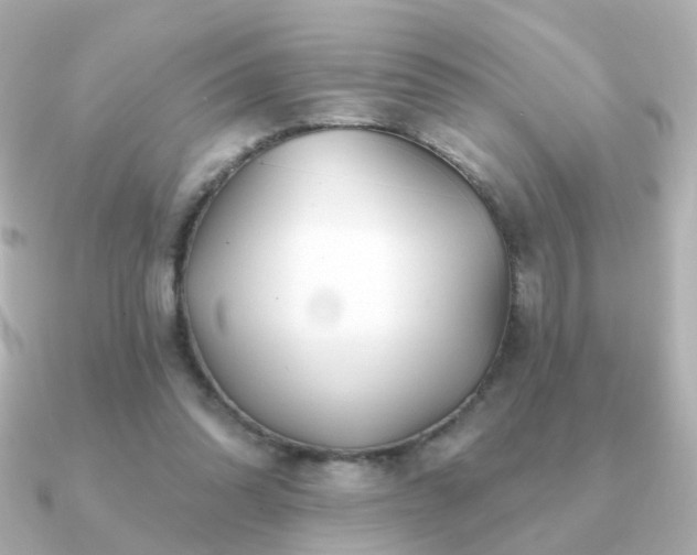 X0000091190302200708091254