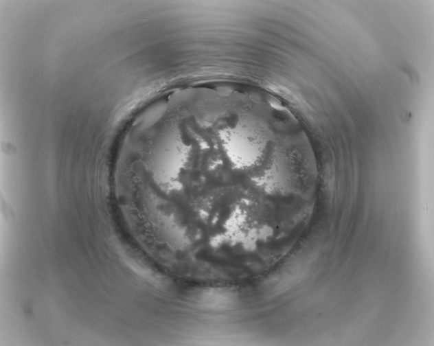 X0000091190303200708091254