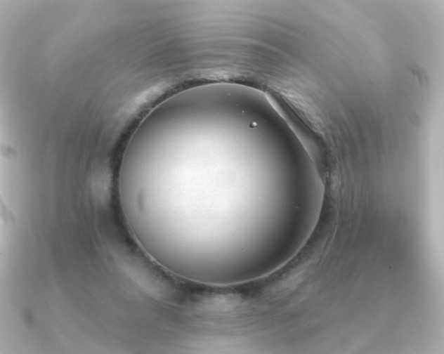 X0000091190304200708091254