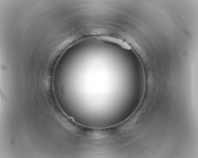 X0000091190305200708091254