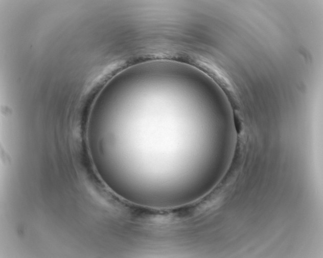 X0000091190306200708091254