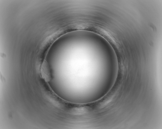 X0000091190307200708091254