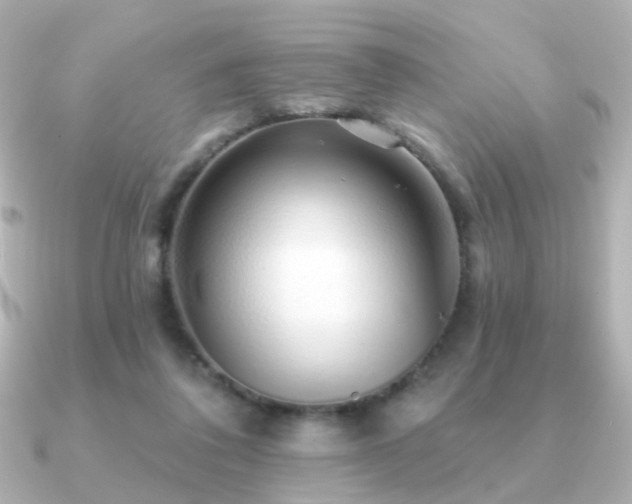 X0000091190308200708091254