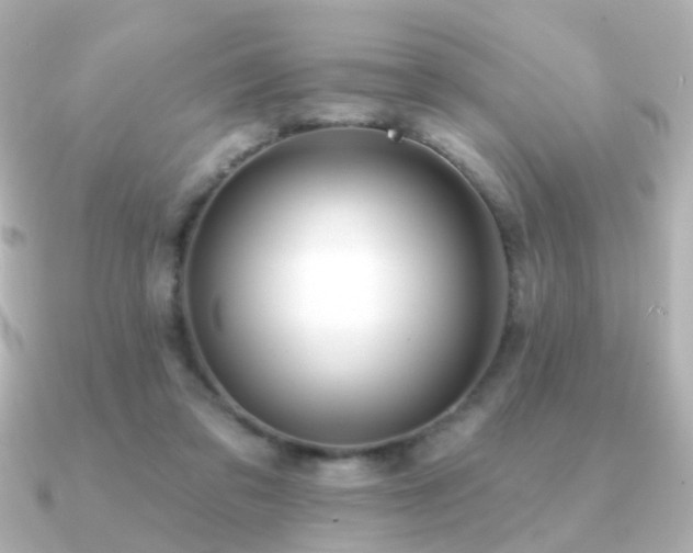 X0000091190309200708091254