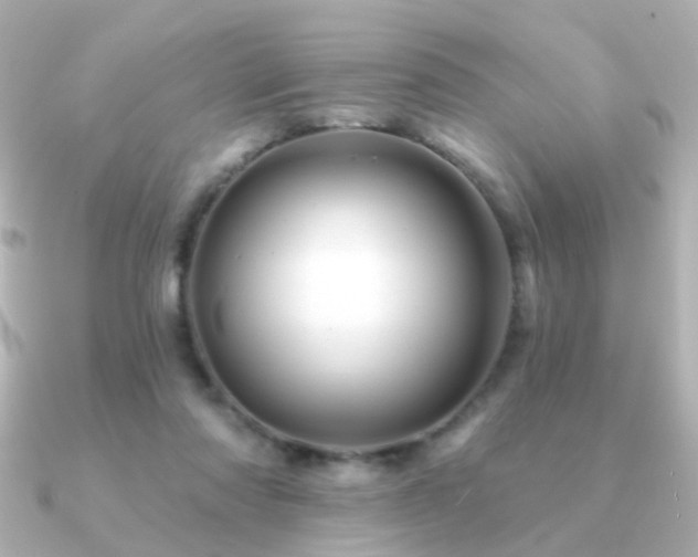 X0000091190310200708091254