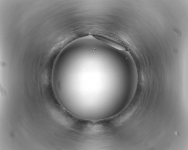 X0000091190311200708091254