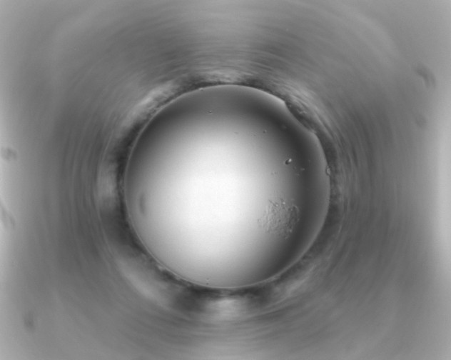 X0000091190312200708091254