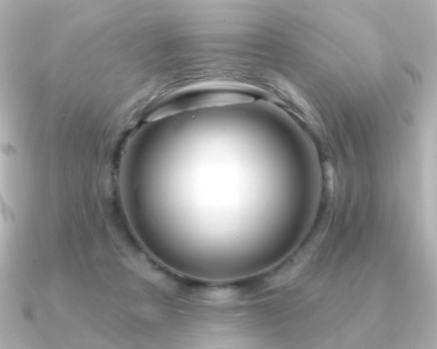 X0000091190313200708091254