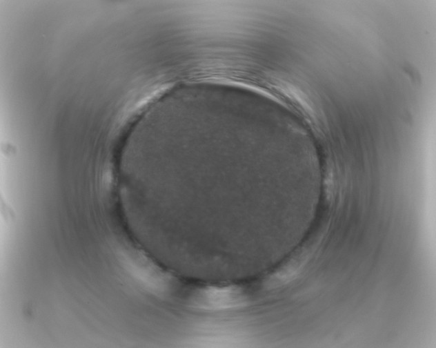 X0000091190314200708091254