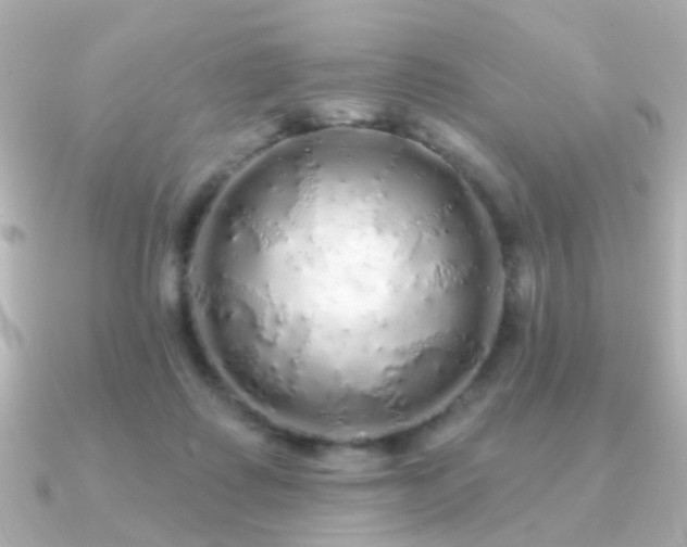 X0000091190315200708091254