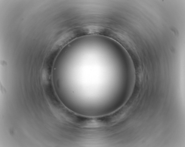 X0000091190316200708091254