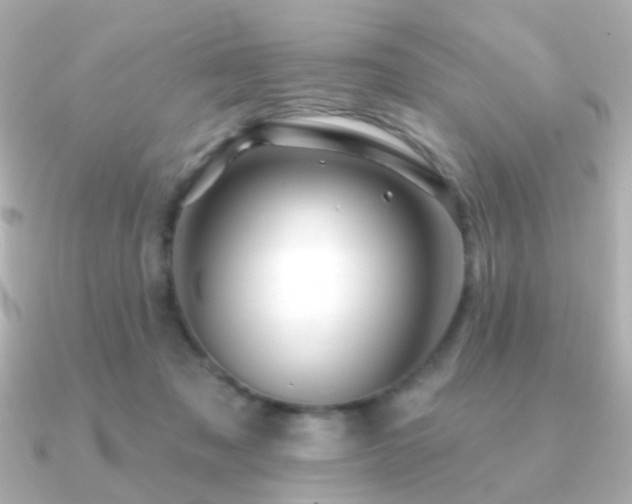 X0000091190317200708091254