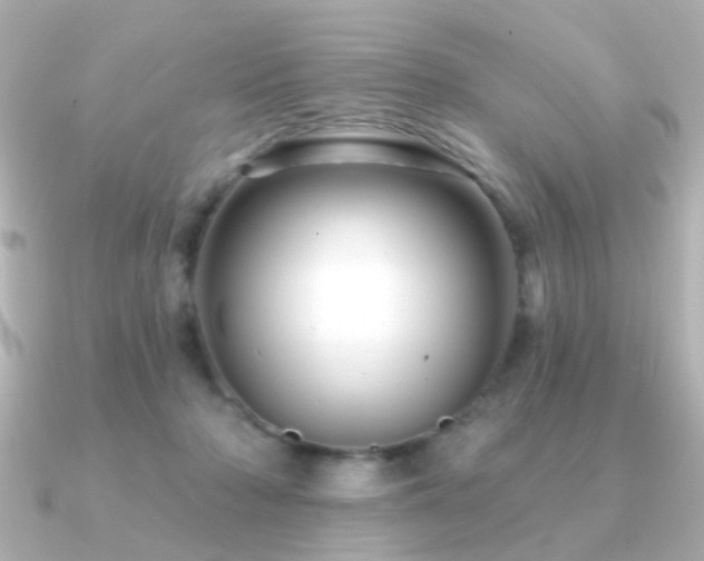 X0000091190318200708091254