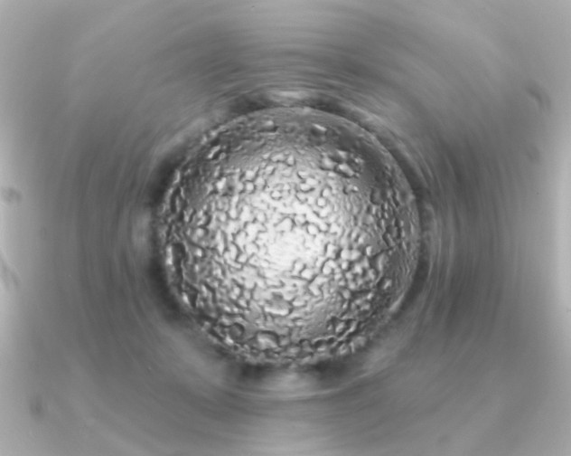 X0000091190319200708091254
