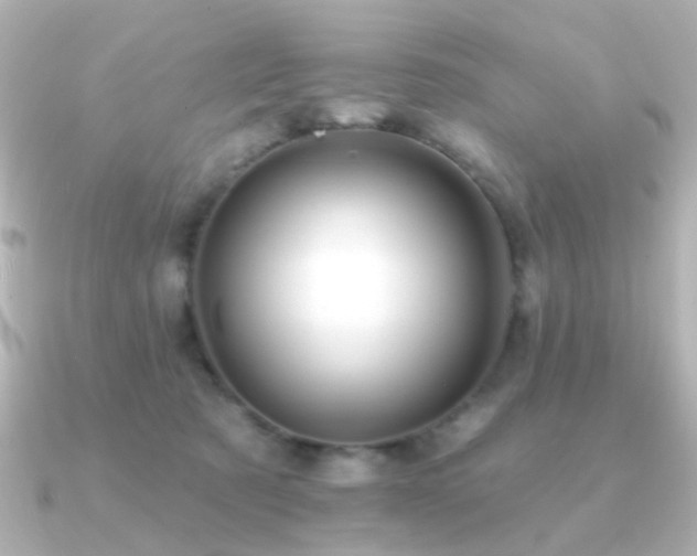X0000091190321200708091254