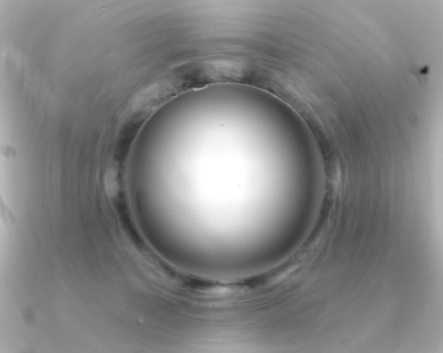 X0000091190323200708091254