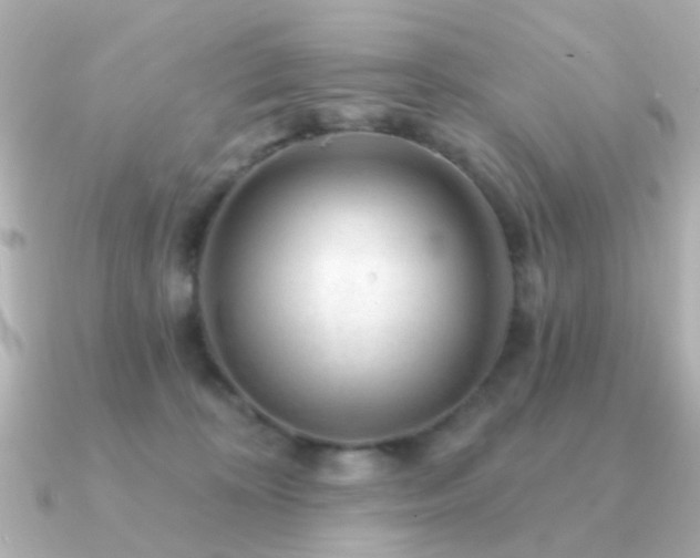 X0000091190324200708091254